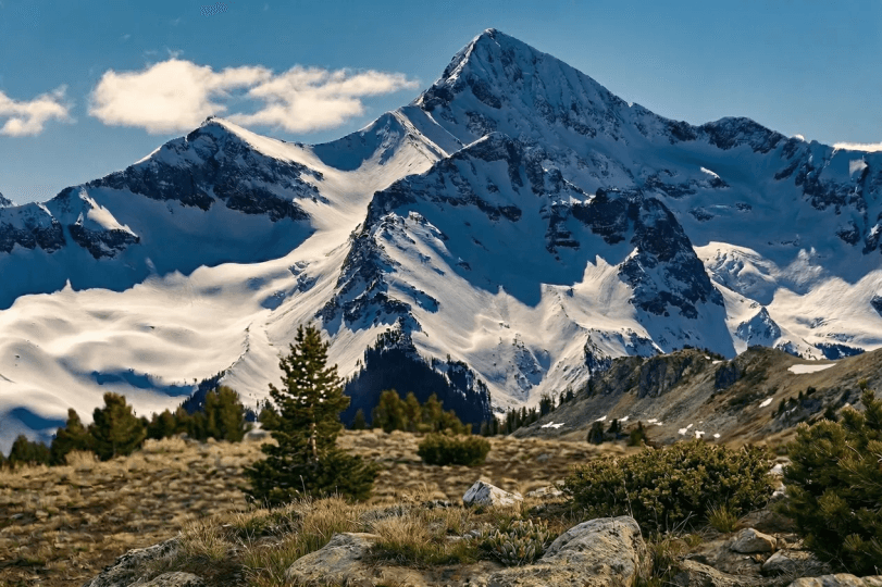 Rapid multi-brand migration to Shopify Plus case study